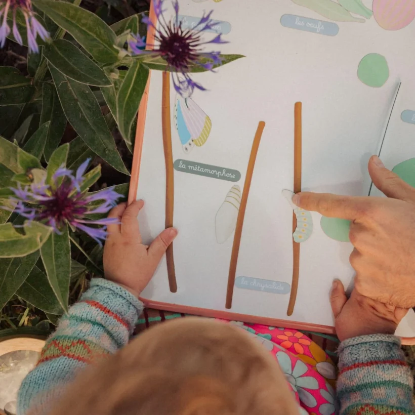 Jeu Magnetique Cycle Vie Papillon Enfant.jpg